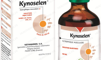 Kynoselen